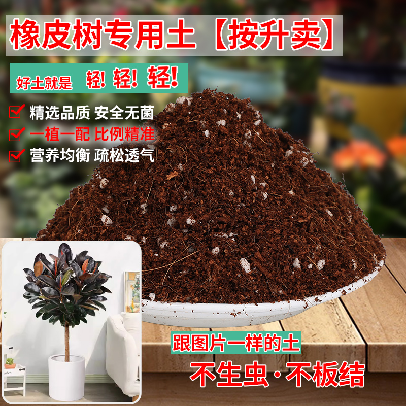 养橡皮树专用土营养土养花通用昙花专用花土壤土种植泥土专用肥料