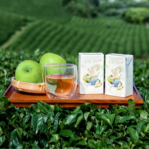 现货好源龙井绿茶饮品250ml*10盒装整箱批特价0脂0防腐夏季果汁茶