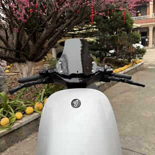 适用适用九号E80c/E125/E150MK2专用机甲风挡风板装饰扰流板改装