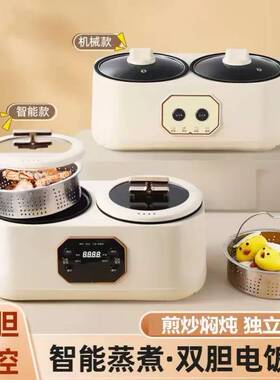 双胆电饭煲爆款多功能双控智能电饭煲1-3人电饭锅