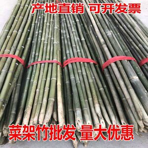 菜园搭架户外豆角米旗跳舞小竹子