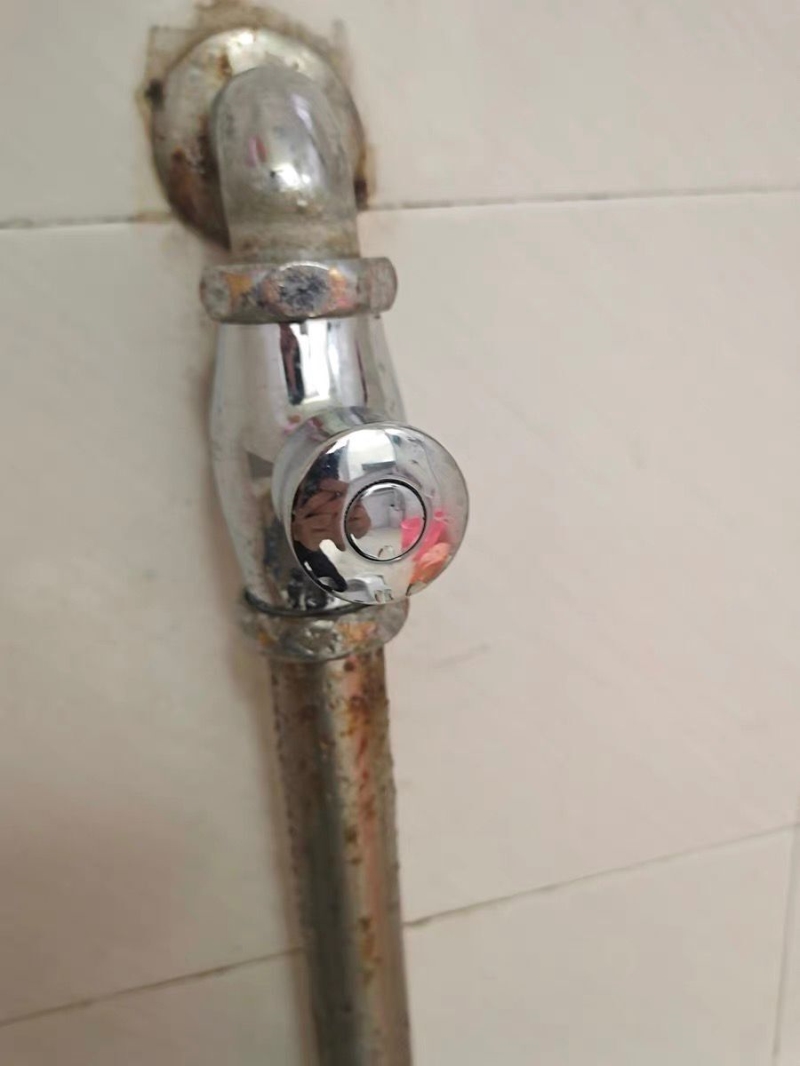 蹲坑按压式全铜体大便池冲水阀厕所小便池阀门冲洗阀手按式蹲便器