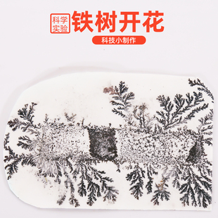 学生diy铁树开花科学实验包科技小制作发明教具趣味化学培训教材
