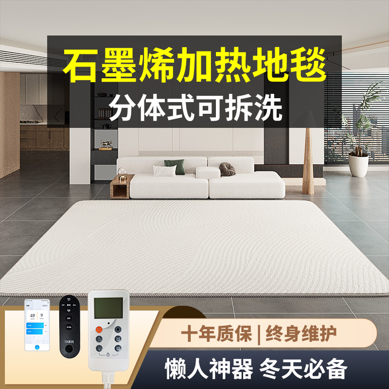 迷冬陽(yáng)2024新款石墨烯輕奢風(fēng)格地毯可拆洗發(fā)熱地毯電熱地毯