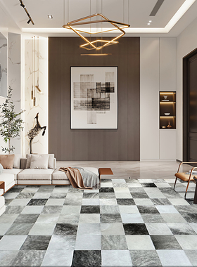 大平层地b毯灰色虎纹皮地毯客厅简约原木风格米色大尺寸地垫茶几