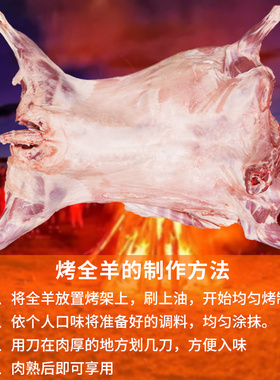 整只羊内蒙古非宁夏羔羊羊排羊腿羊蝎羊白条羊年货好礼整只烤全羊
