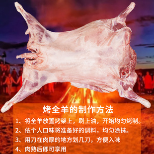 整只羊内蒙古非宁夏羔羊羊排羊腿羊蝎羊白条羊年货好礼整只烤全羊