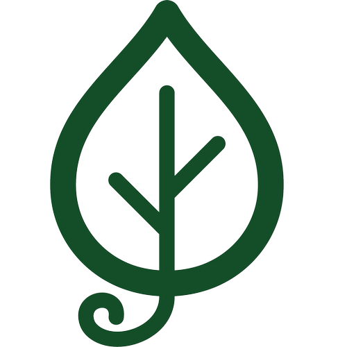 【ZB】【彩叶芋合辑】 美丽观叶热植盆栽半户外 浇浇植物超市