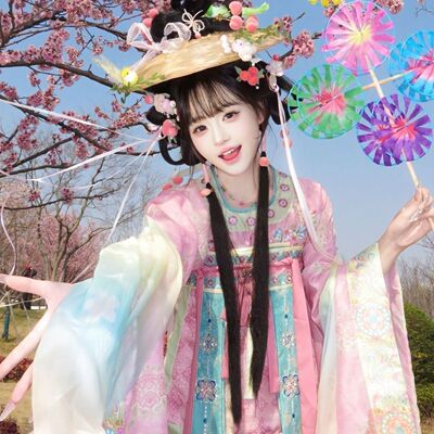 椒花颂声唐制绣花两穿汉服半裙