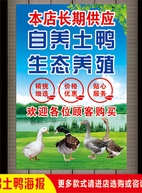 生态养殖农家土鸡土鸭鸽子放养鸡鸭鹅广告贴纸家禽店招牌宣传海报