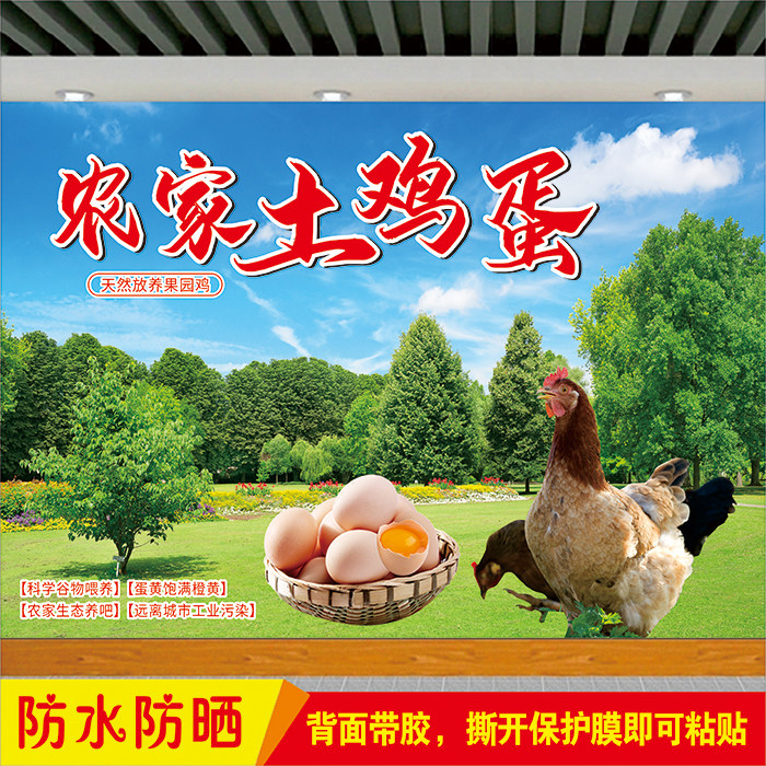 生鲜超市宣传贴画正宗农家散养土鸡蛋广告贴纸养殖场招牌自粘海报,家居饰品,现代装饰画,淘宝优惠券,粉丝福利购,淘宝优惠卷