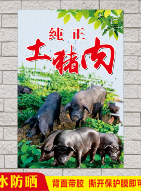 生态农家土黑猪肉铺摆摊广告海报