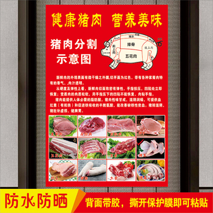摆摊车广告贴纸猪肉分割示意图生猪部位图解生鲜超市促销宣传海报
