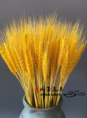 天然黄金麦穗干花花束开业大麦客厅装饰摆件摆设麦子插花道具稻穗