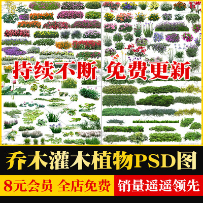 园林景观带名称乔木灌木地被绿篱球类水生植物立面PSD免扣源文件