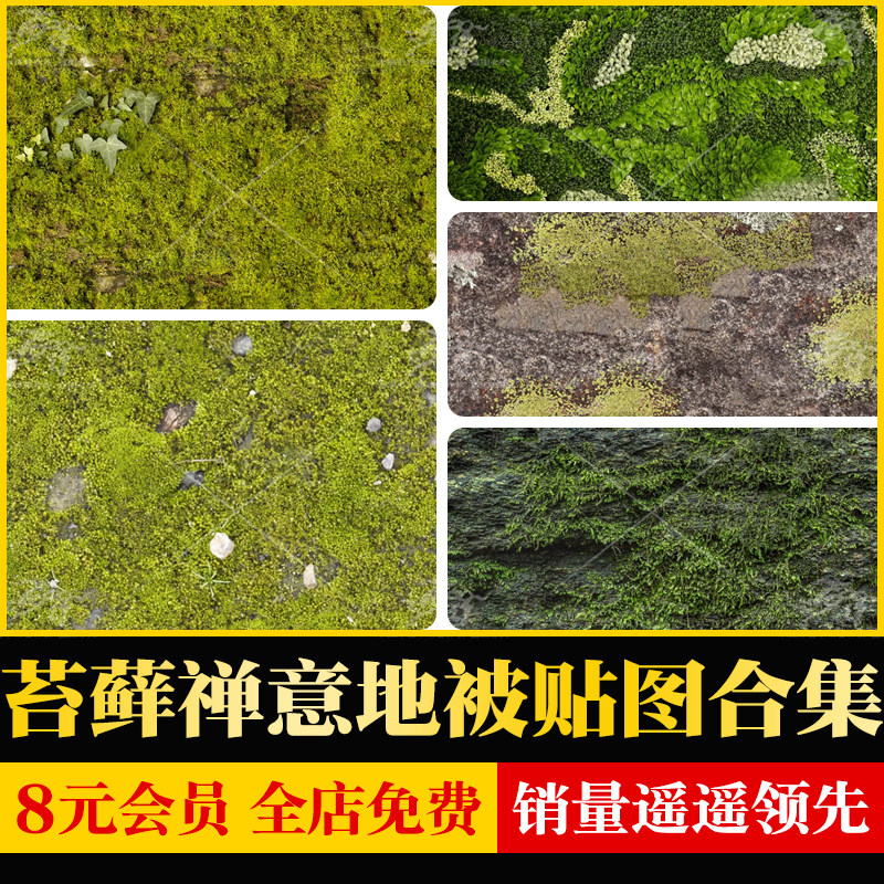 苔藓植物禅意微景观地被绿植墙面小大灰藓纹理su材质ps贴图素材