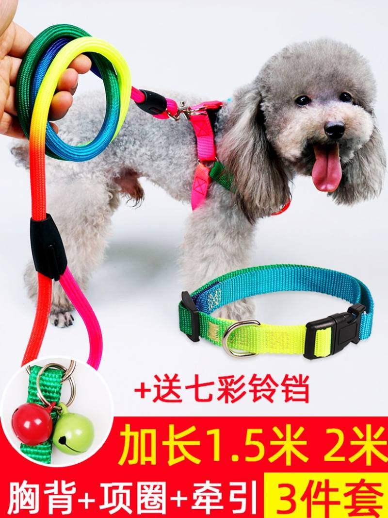 两只狗狗狗脖子套项圈两条狗双狗牵引绳遛狗双头一拖二