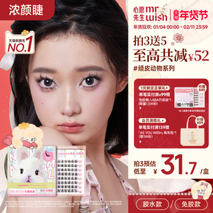 心愿先生免胶狐系犬系兔系狗狗眼浓密假睫毛胶水款自然眼睫毛女