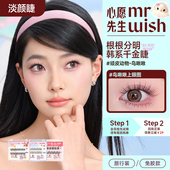 假睫毛免卸 心愿先生鸟啾啾旅行装 天猫u先 Mr.wish