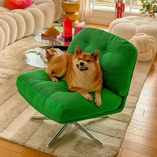 网红沙发椅杜威林格休闲椅可旋转客厅阳台小户型设计师中古单人椅