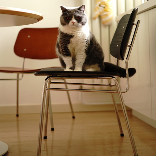 北欧餐厅实木复古餐椅