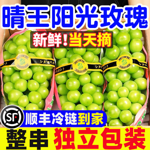 【顺丰包邮】正宗晴王阳光玫瑰纯甜无籽彩箱孕妇新鲜水果葡萄彩箱