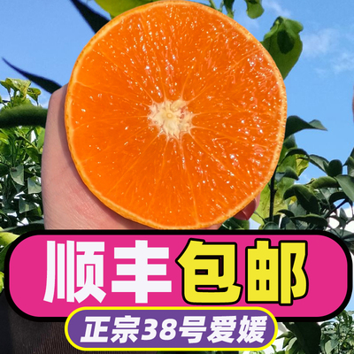 【顺丰包邮】四川眉山爱媛38号果冻橙新鲜现摘应季水果