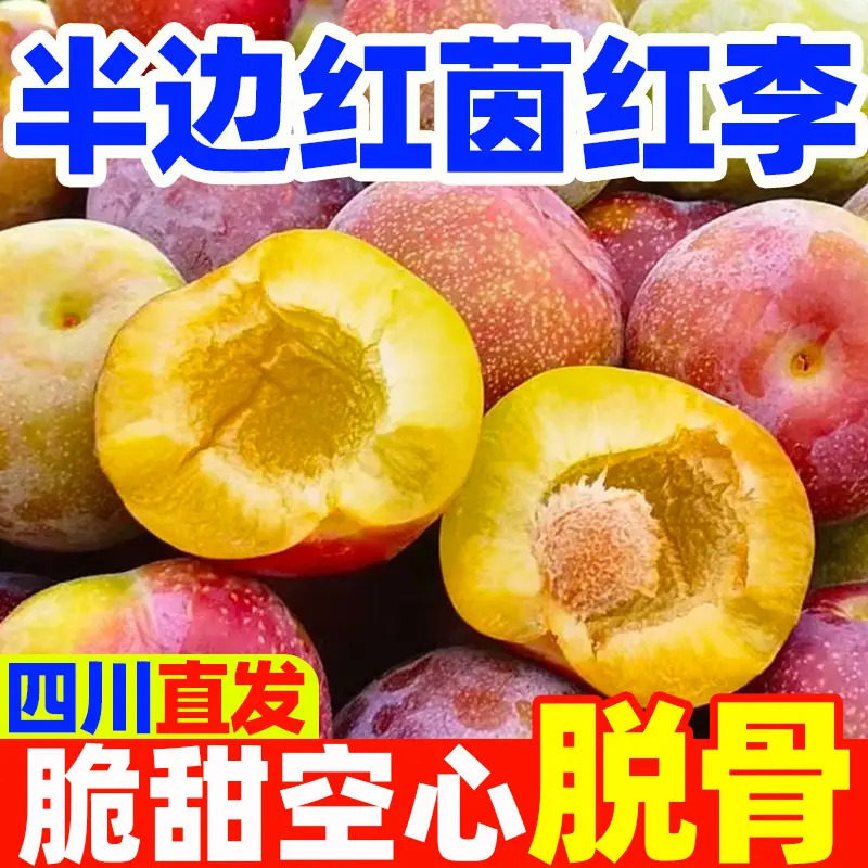 正宗四川半边红茵红李当季新鲜水果脆甜多汁应季水果