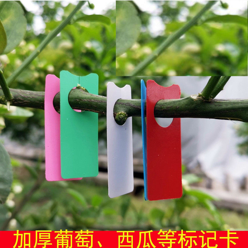 包邮/果农乐葡萄标记牌、阳光玫瑰夏黑记号卡、西瓜放号标签牌