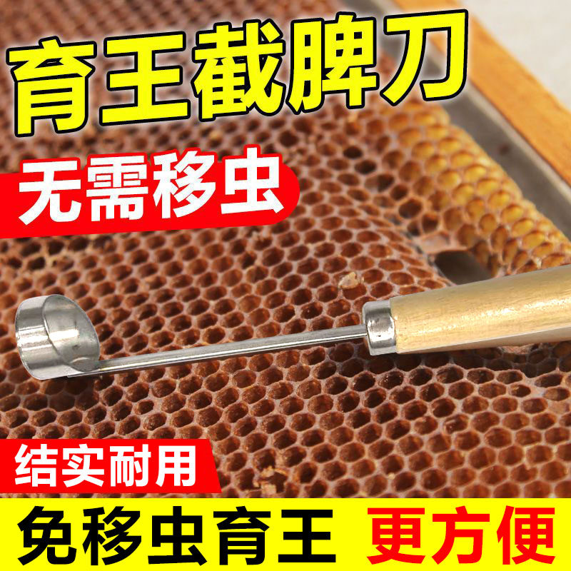 中蜂育王专用工具套装 河南沅汁芫菋蜜蜂养殖蜂具