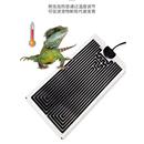 爬行动物宠物石墨烯加热垫爬行动物睫毛角壁虎蛇鬃狮蜥蜴斗鱼龟养