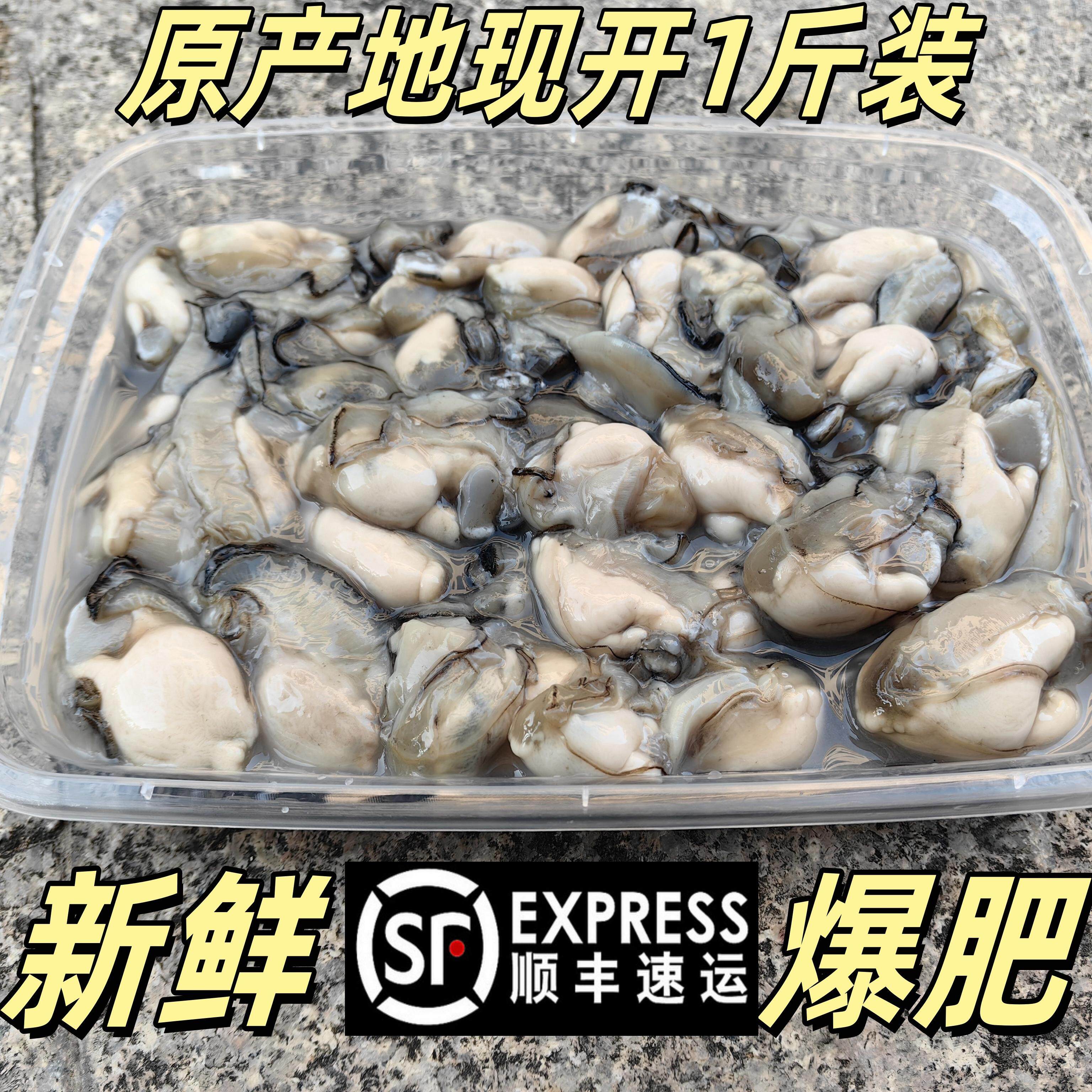 海蛎子牡蛎生蚝肉福建产地新鲜鲜活海蛎子福建牡蛎三倍体去壳现剥