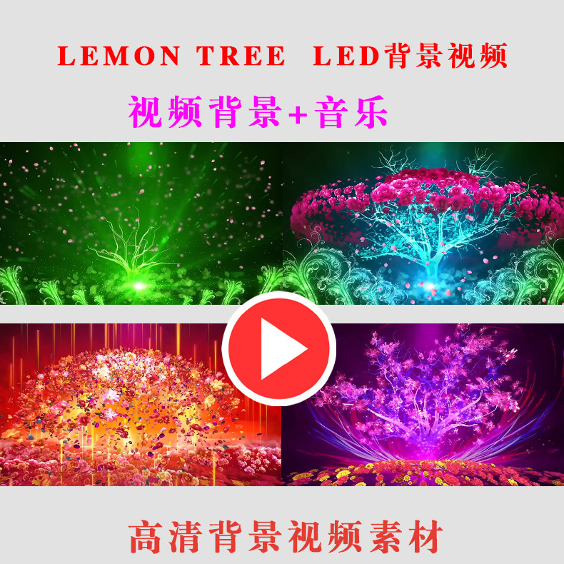 lemon tree  学生演出表演节目动态led大屏幕背景视频素材