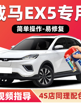 威马ex5补漆笔极致白色w6汽车漆划痕修复e5黑色灰色金色ex6自喷漆