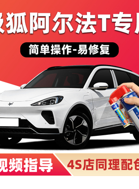 极狐阿尔法T补漆笔冰灰色汽车漆划痕修复神器白色黑色蓝色自喷漆