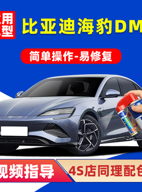 比亚迪海豹06补漆笔暖色dmi原厂GT车漆修复07雪域白灰色ev自喷漆