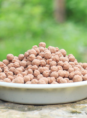 多肉铺面石透气无菌多元素天然纯颗粒种植土绿色盆栽植物发根保水