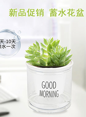 新品透明色花盆简约特价包邮