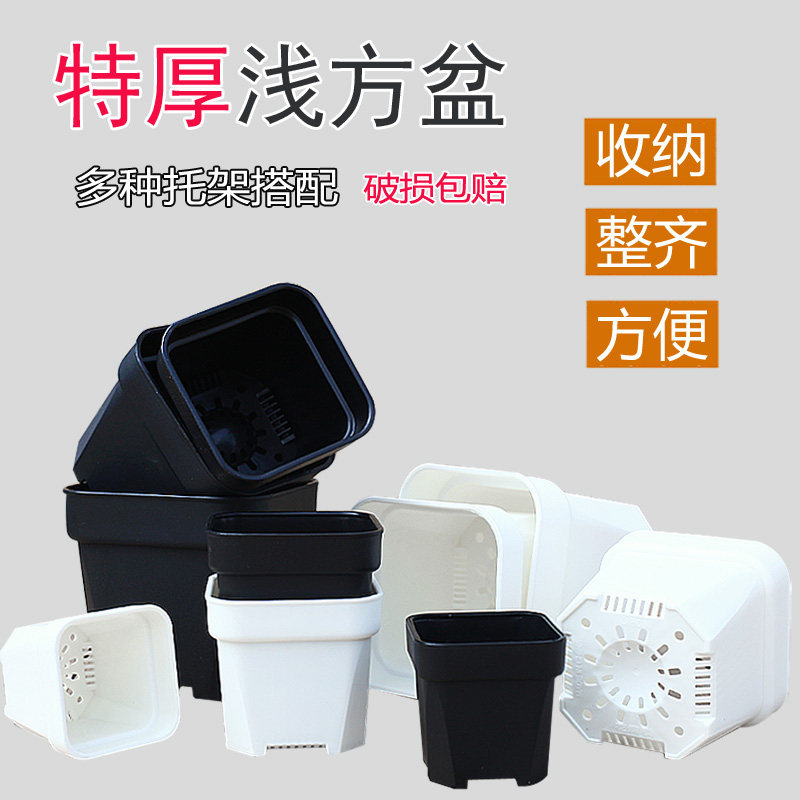 多肉植物花盆仙人球景天盆浅方盆托架套餐办公桌面花盆花卉绿植盆,鲜花速递/花卉仿真/绿植园艺,花盆,淘宝优惠券,粉丝福利购,淘宝优惠卷