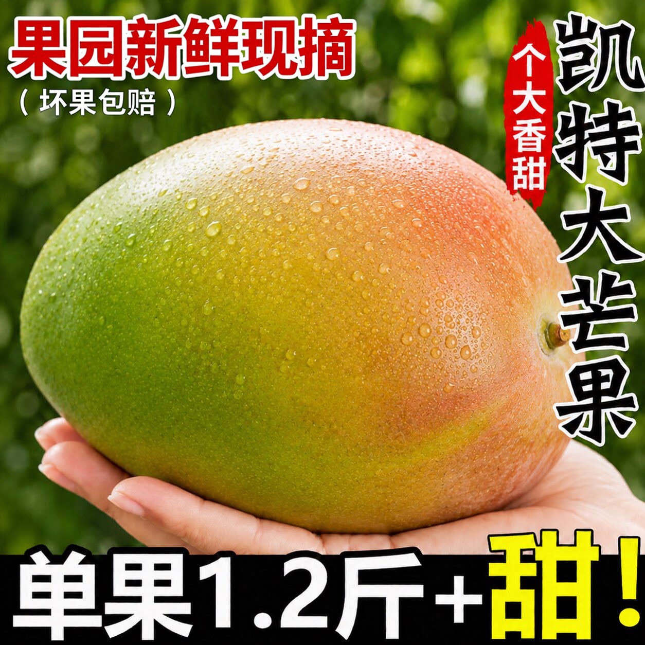 四川凯特攀枝花芒果新鲜大果