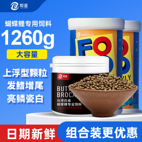 帮星白金蝴蝶鲤专用饲料高蛋白