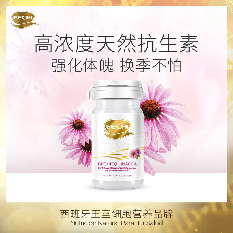 【官方旗舰店】BECHI紫雏菊