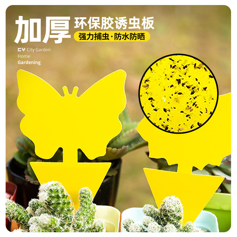 粘虫板黄板家用花卉盆栽室内窗台双面除虫贴果蝇诱捕器小飞虫神器