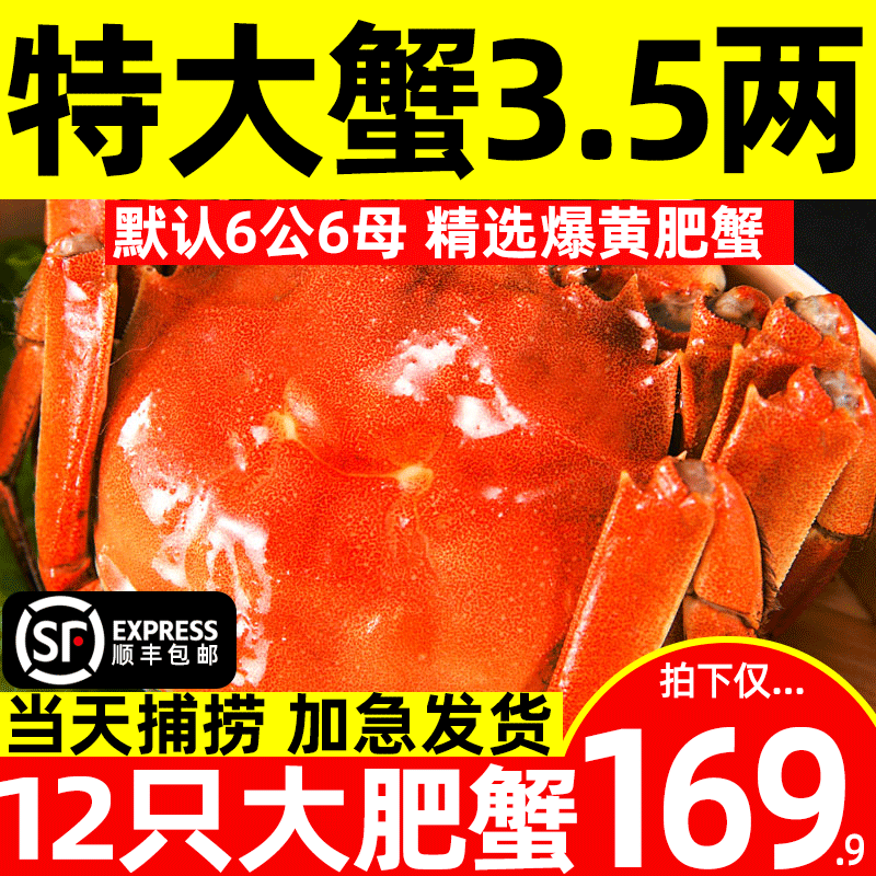 3.5两12只大闸蟹鲜活阳澄湖镇