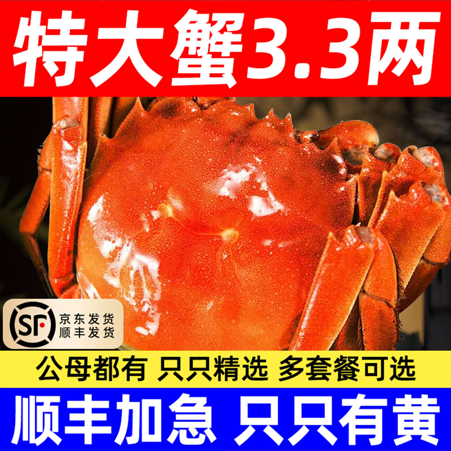 活蟹红膏螃蟹大闸蟹鲜活全母海鲜水产6-10只六月黄河蟹官方旗舰店
