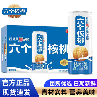 六个核桃精品型植物蛋白核桃乳240ml*24罐饮料整箱营养早餐奶解馋