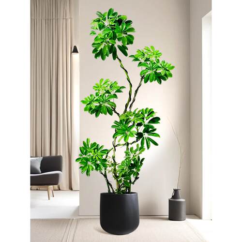 老桩铁丝造型鸭脚木客厅大盆绿植好养真花办公室高级室内大型植物