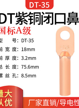 国标A级DT-35MM2铜鼻子 铜接线端子DT35平方 铜线耳 铜接线鼻子