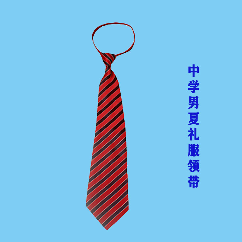 深圳市高中生领带夏天配套校服图片