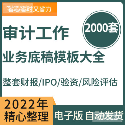 整套财报IPO验资等业务审计工作底稿模板大全编制指引word资料